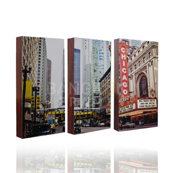 กรอบลอยภาพตึกชิคาโก